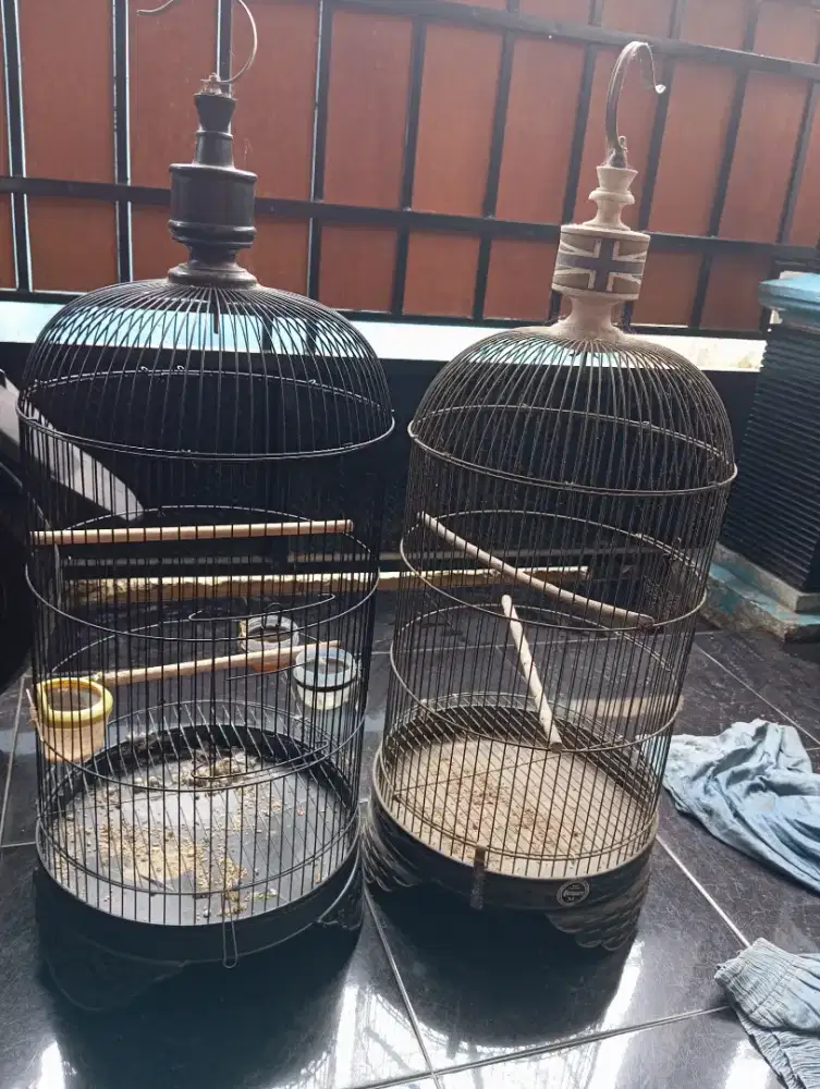 Kandang lakbet besar