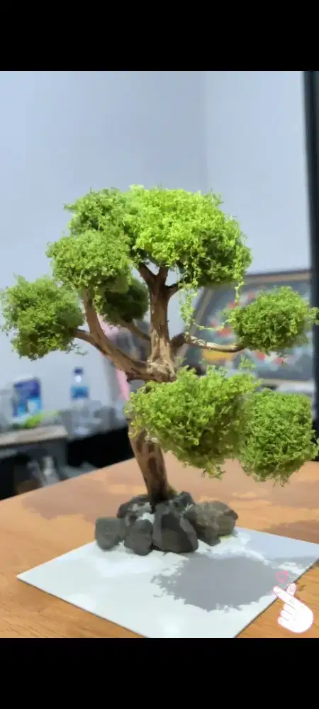 Mini Aquascape Bonsai