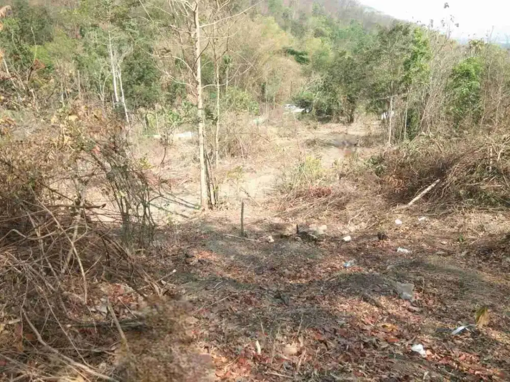 Dijual Tanah Murah di Srimulyo Piyungan Bantul