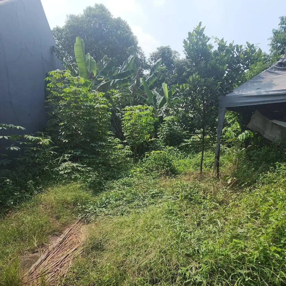 DI JUAL BU TANAH DALAM CLUSTER