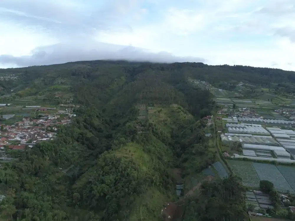 Kavling Resort Lembang luas 100000m Bandung Barat