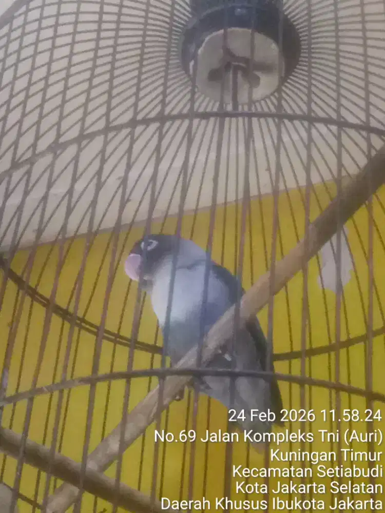 JUAL SANTAI NUNGGU BEDUG