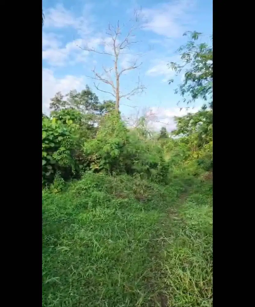 Dijual Tanah Luas 3,8 ha, Harga Menarik, SHM