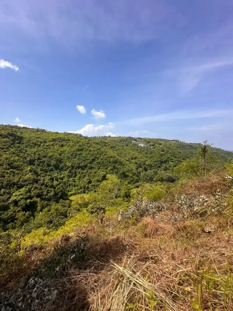 Premium Land 7 Are for Hotel or Villa Development