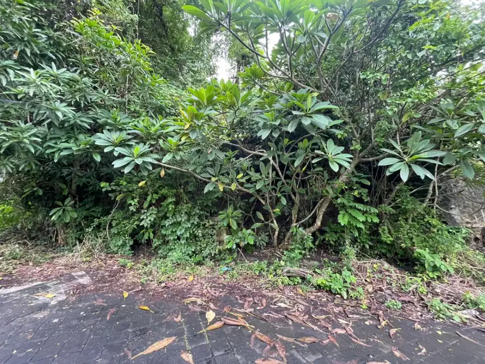 JUAL TANAH BAGUS KEBO IWA