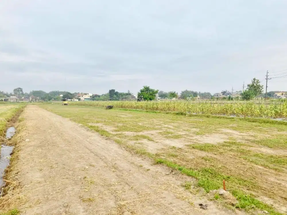 Tanah Belakang Al Azhar AYWS - Cicilan Tanpa Bunga