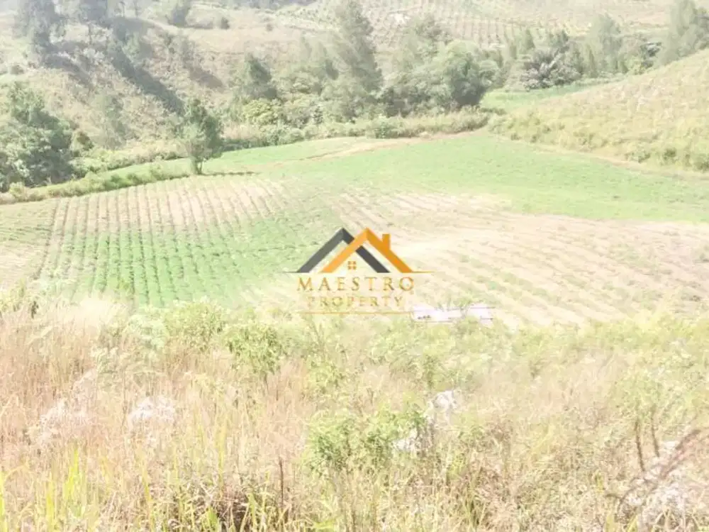 Dijual Tanah Kosong Daerah Simalungun Jalan Saribu Jandi