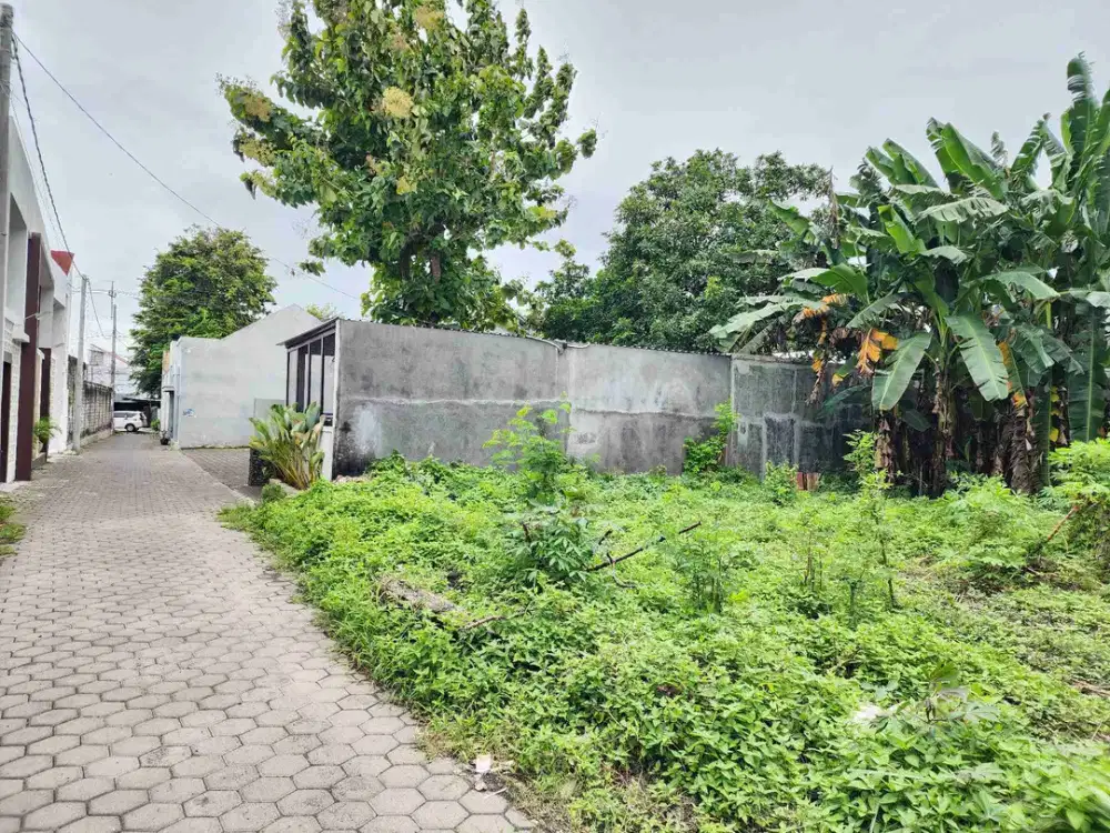 Dijual Tanah di Tukangkayu Banyuwangi kota