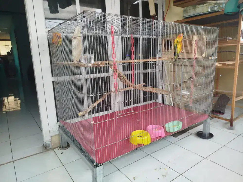 Kandang ternak galvsnis anti karat jumbo