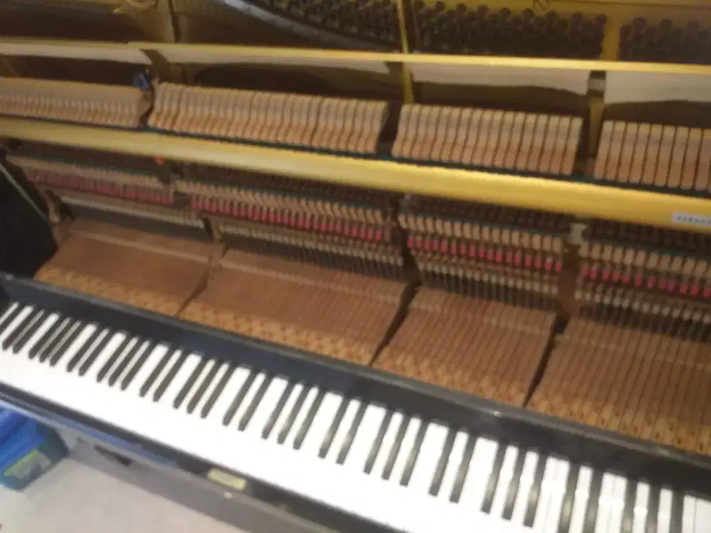 servis piano/orgen dan kayboad