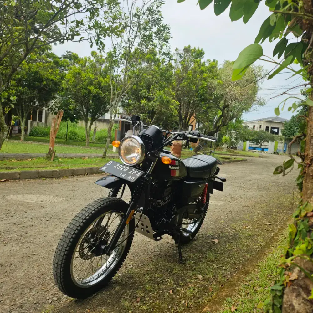 Kawasaki W175TR 2021