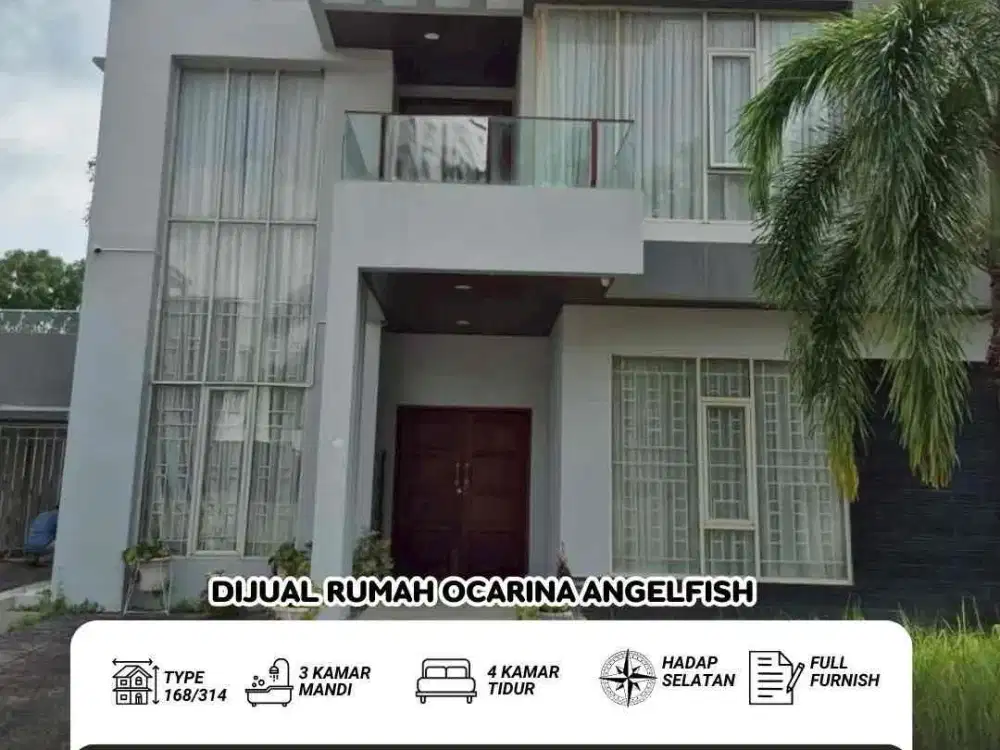 disewakan Rumah Angelfish Ocarina