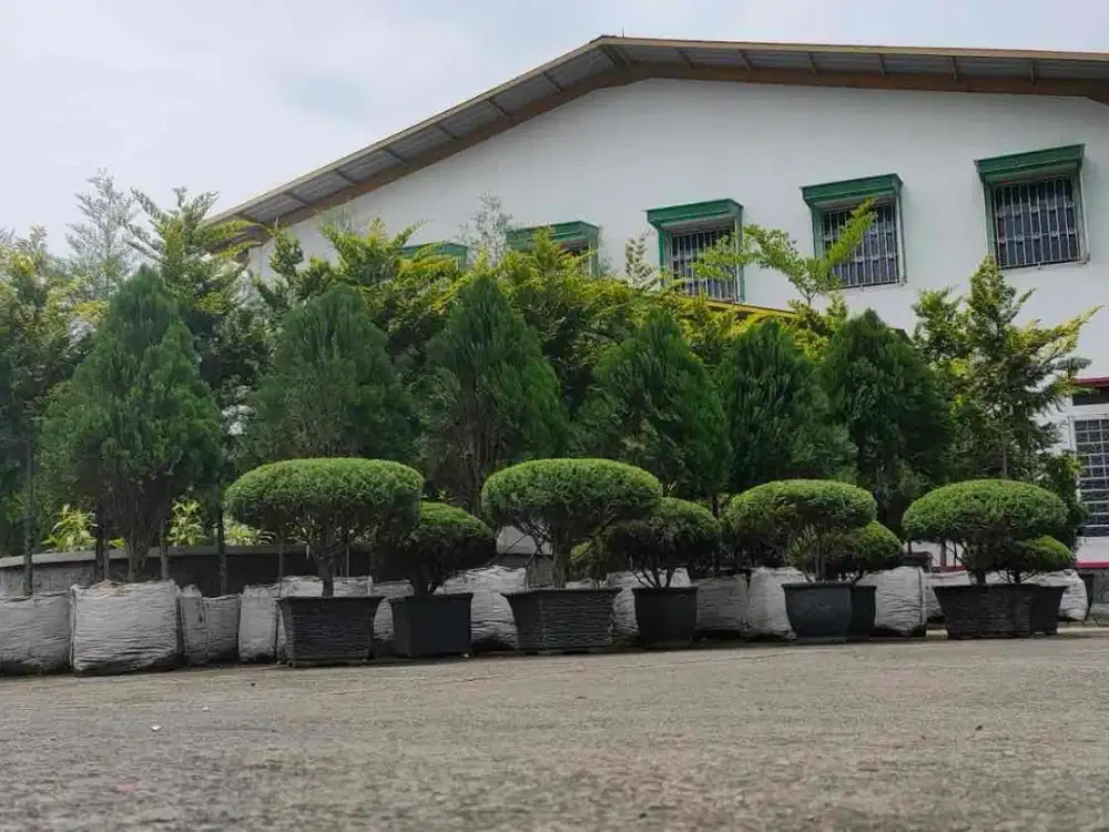 Sewa Gudang Bersih Siap Pakai di Cileunyi Bandung Akses Kontainer