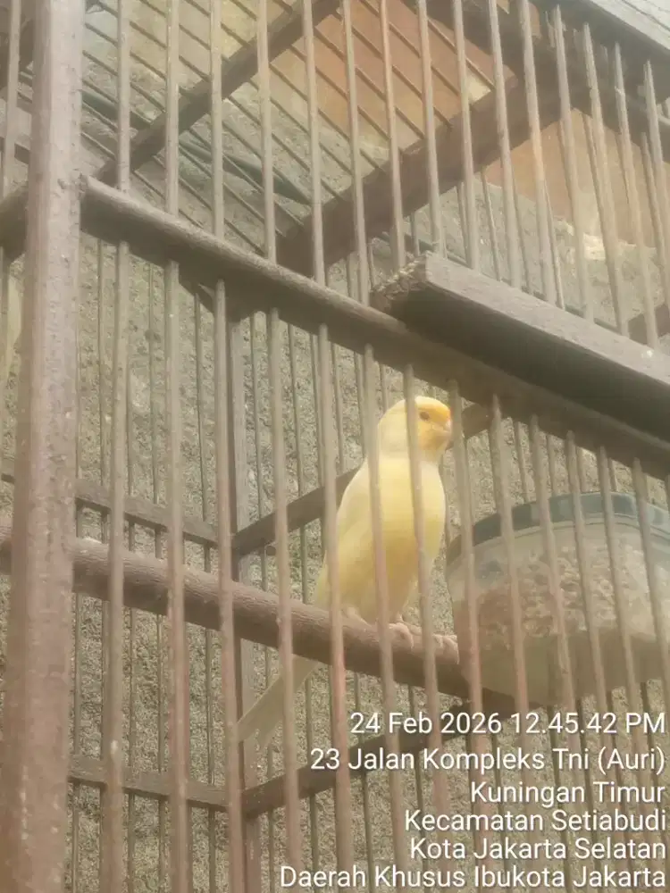 JUAL SANTAI NUNGGU BEDUG