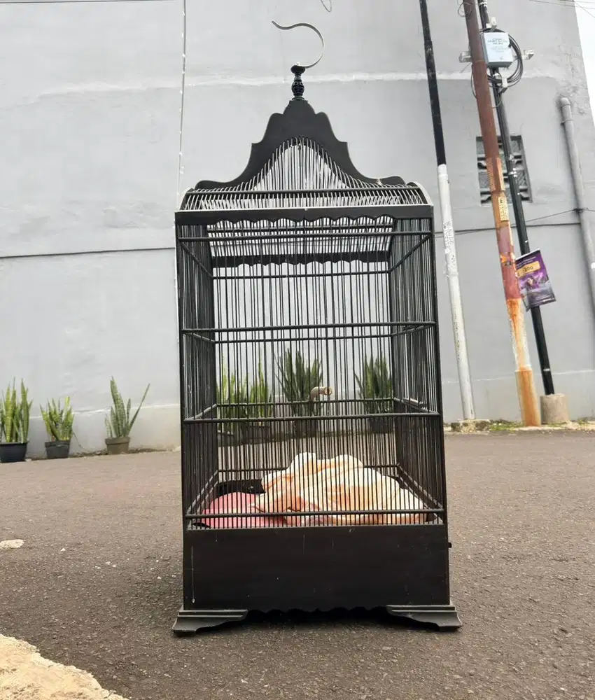 kandang sangkar burung kosan no 2