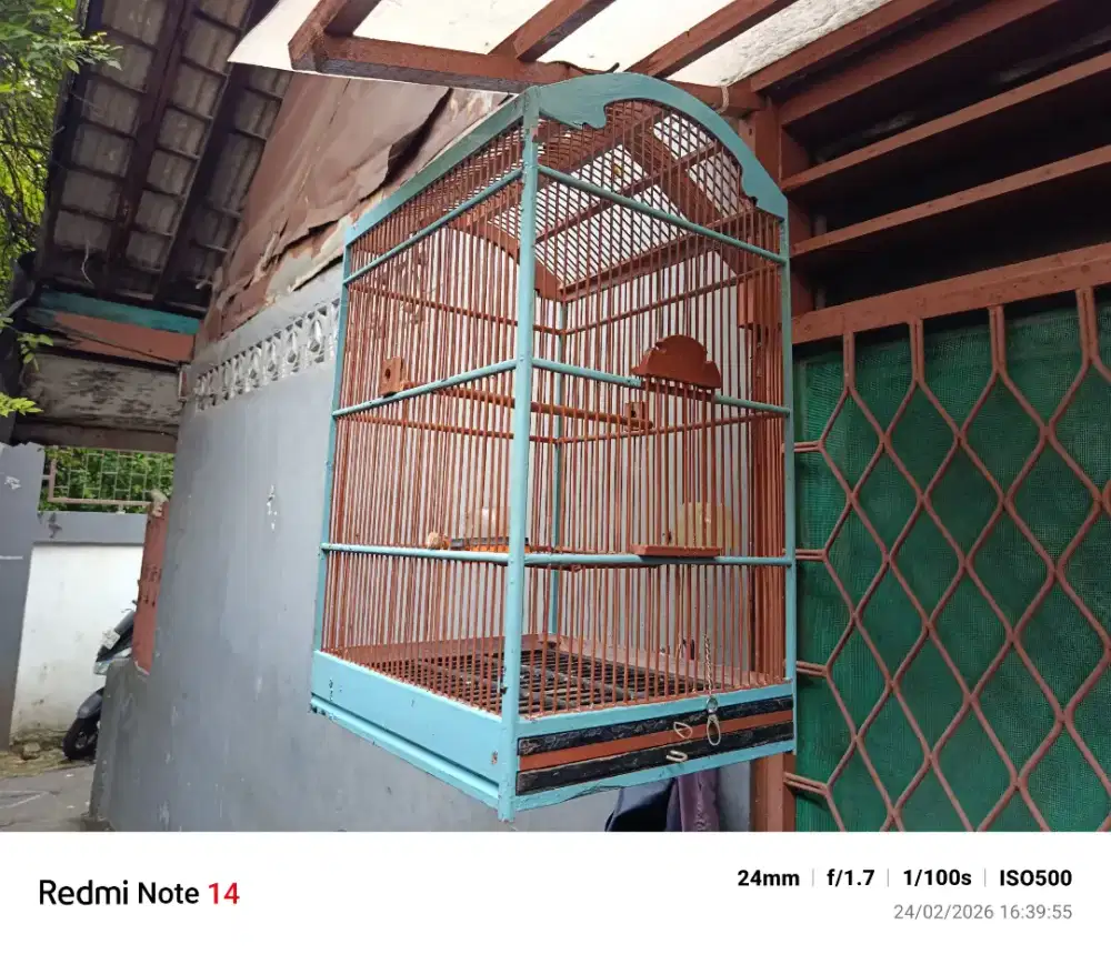 Kandang burung kotak