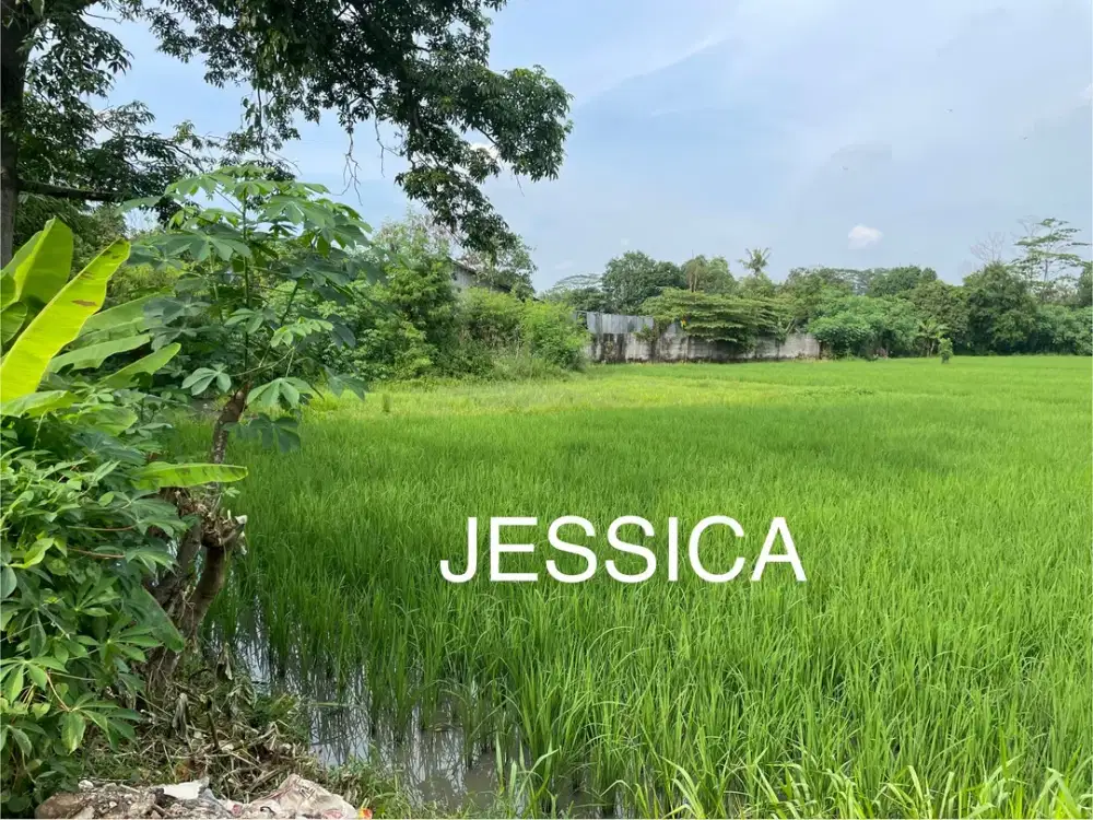 TANAH STRATEGIS UNTUK PABRIK & GUDANG SKALA MENENGAH – CURUG, KAB. TANGERANG