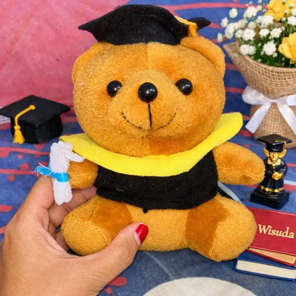 Boneka Wisuda Kecil/Mini