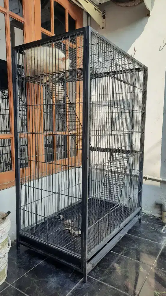 Kandang Kucing Besar.