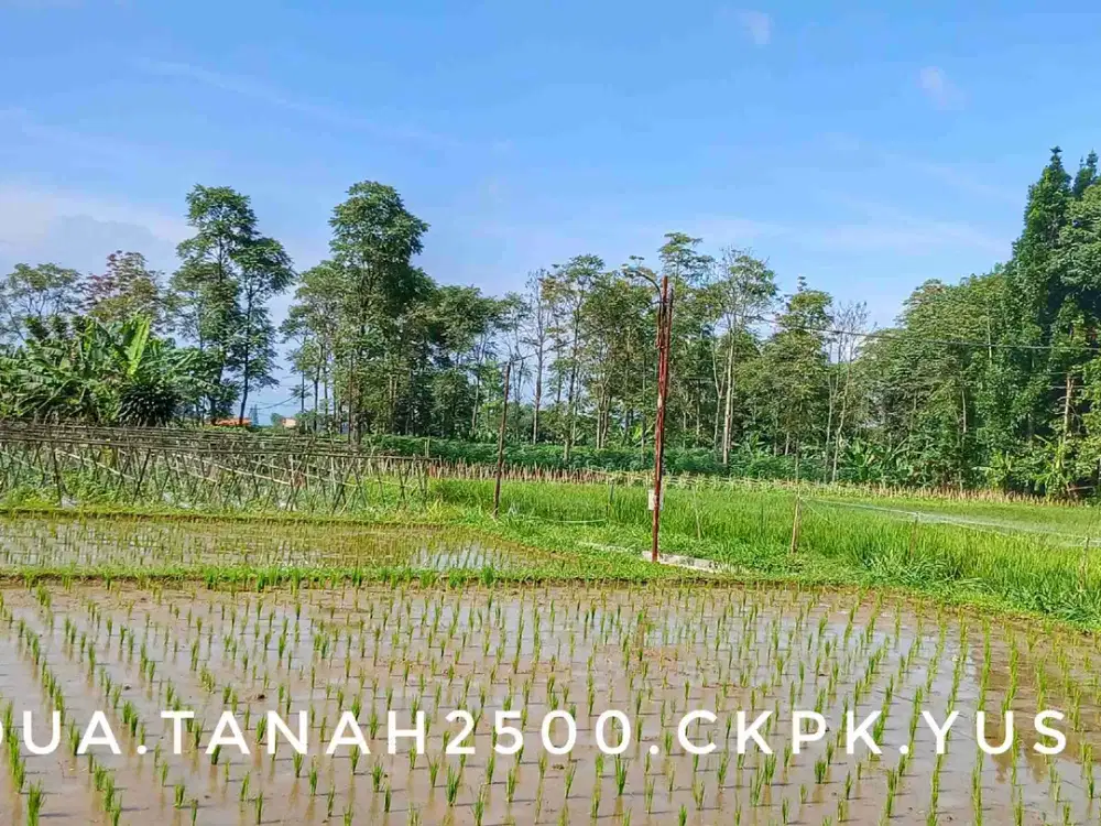 Dijual tanah sawah kebun luas pinggir jalan strategis dekat kota akses mudah