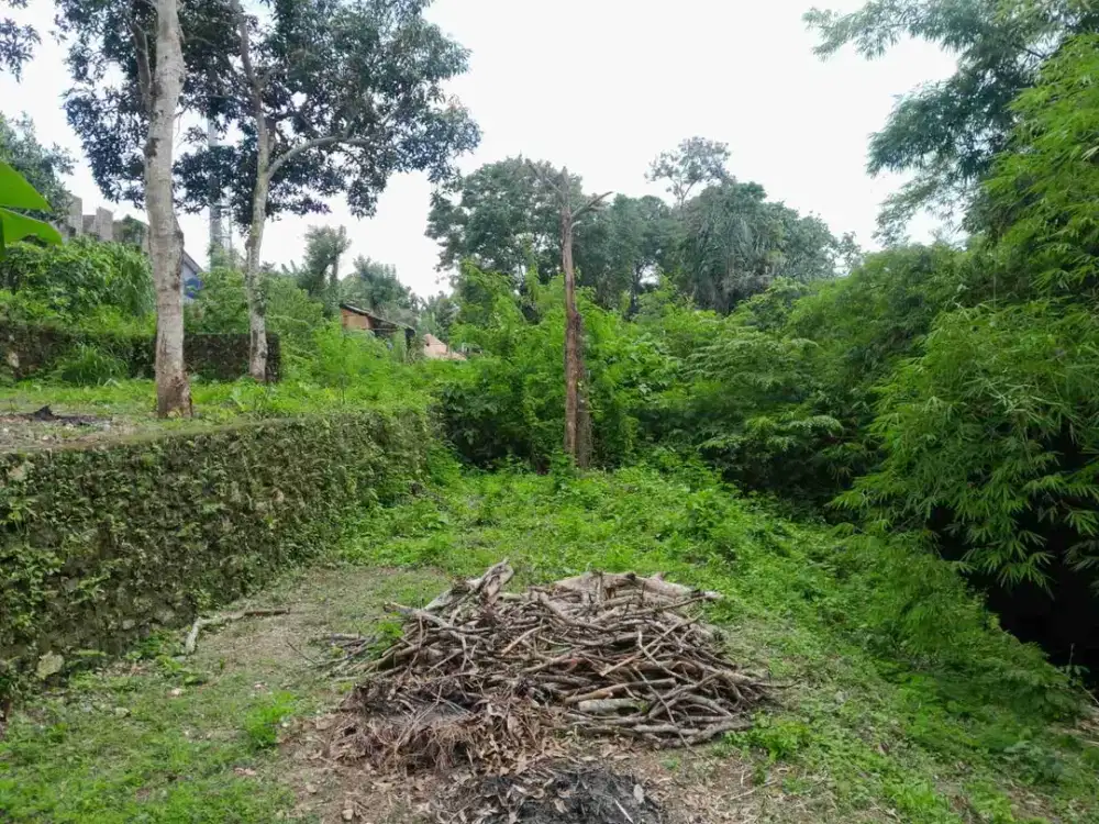 Lahan Langka padang Luwih dalung 1.7 are global 930 Juta SHM bebas banjir strategis