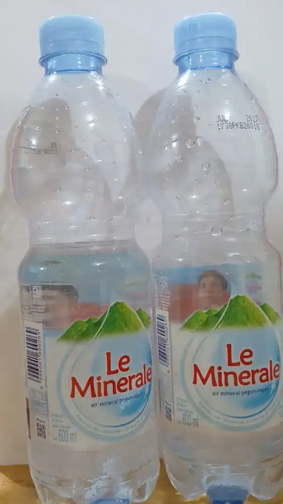 Le mineral botol