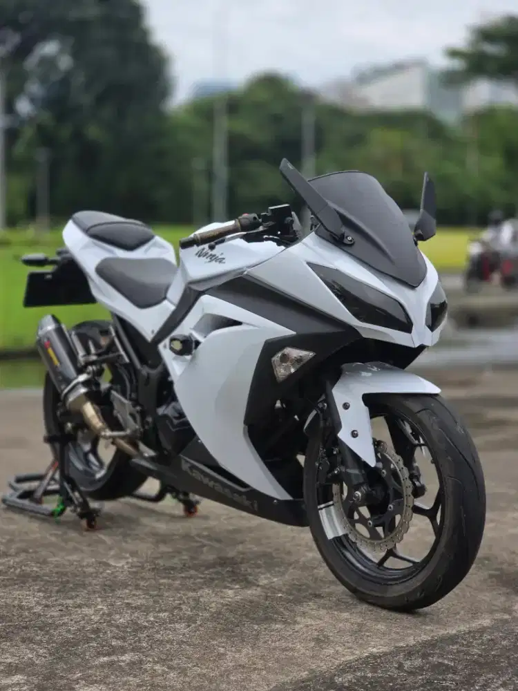 Kawasaki Ninja 250 FI With Akra