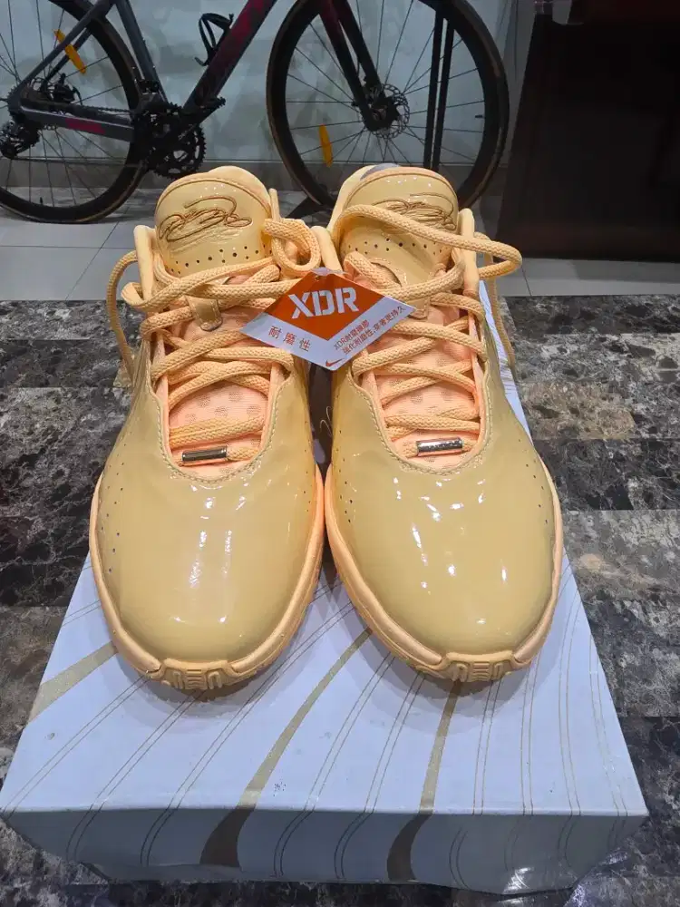 Di jual sepatu LEBRON XXI EP