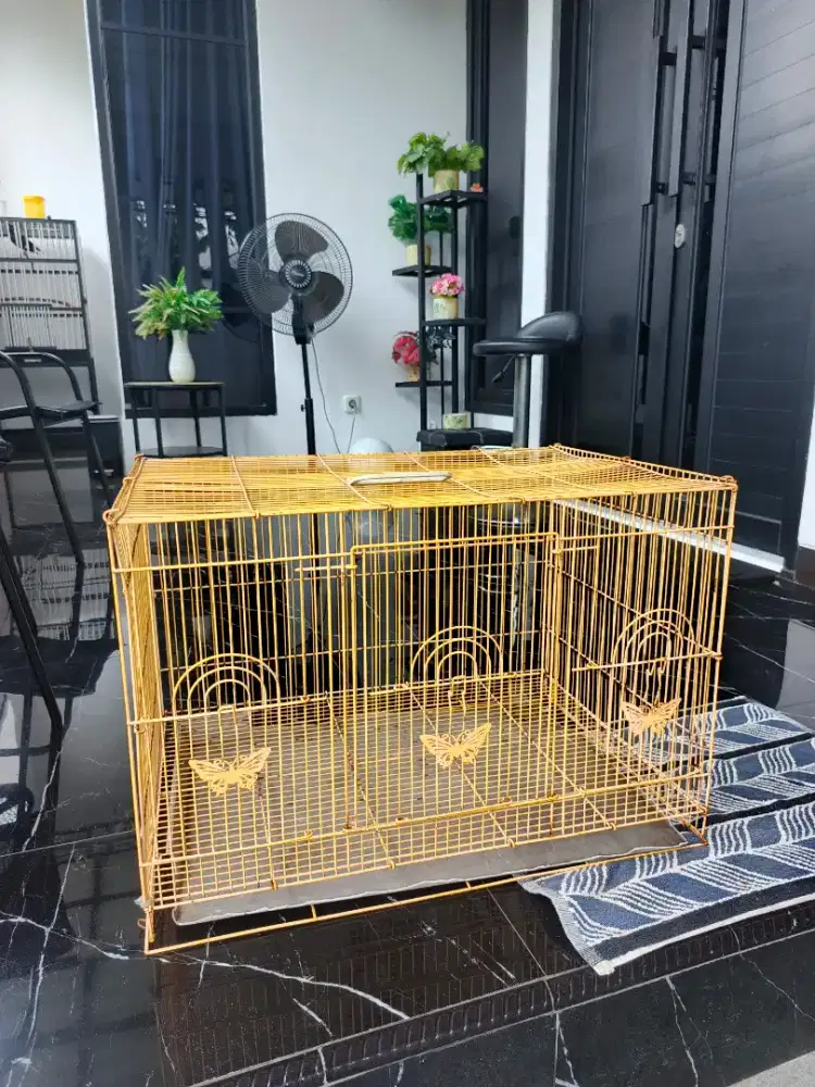 Kandang Kotak Besi Butterfly