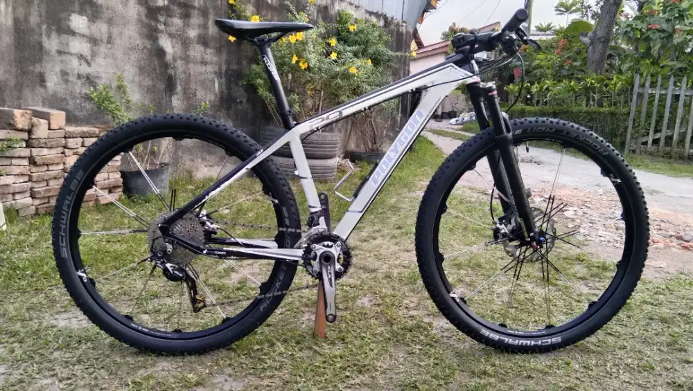 Polygon COZMIC 29er