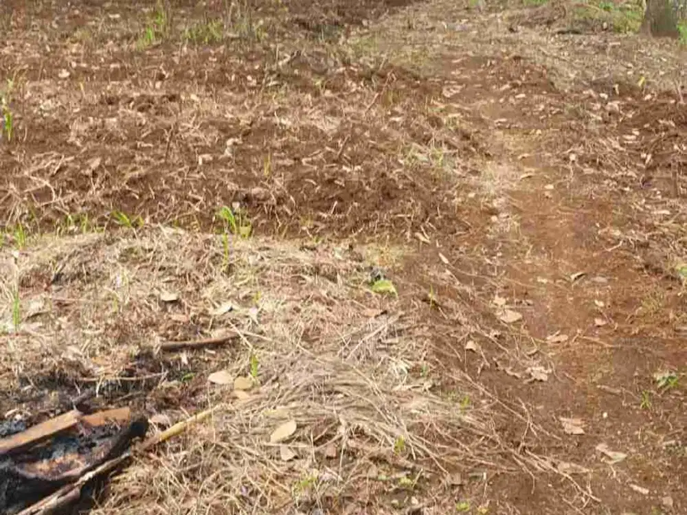 Dijual Tanah Pinggir Jalan Raya