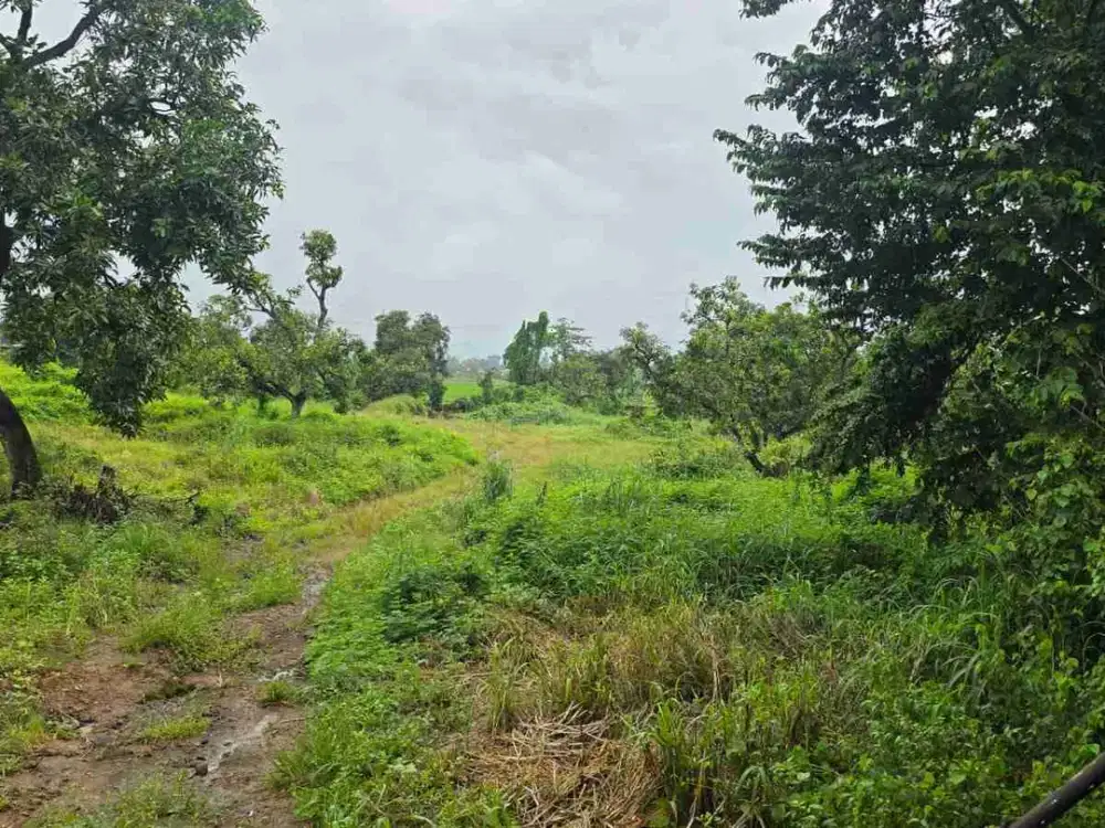 Pasuruan, lahan kuning siap bangun, nol jalan