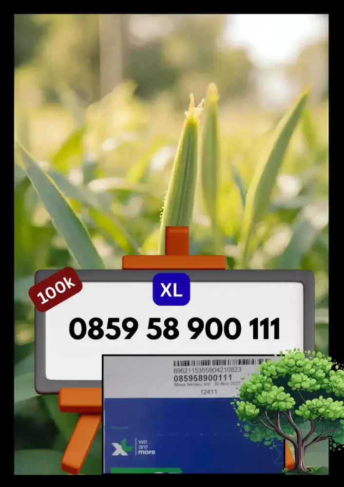 Jual Perdana XL Nomor Cantik