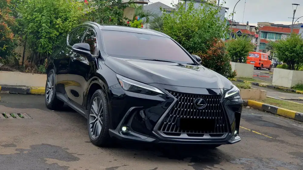 [ LOW KM ] Lexus NX250 NX 250 Luxury AT 2023/2024