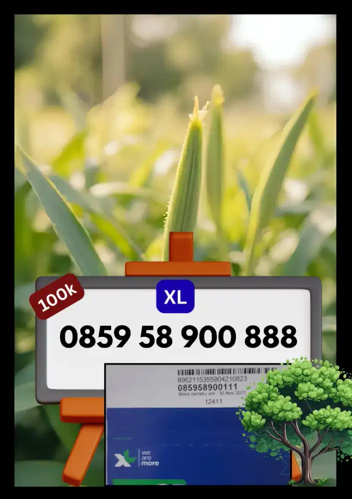 Jual Perdana XL Nomor Cantik