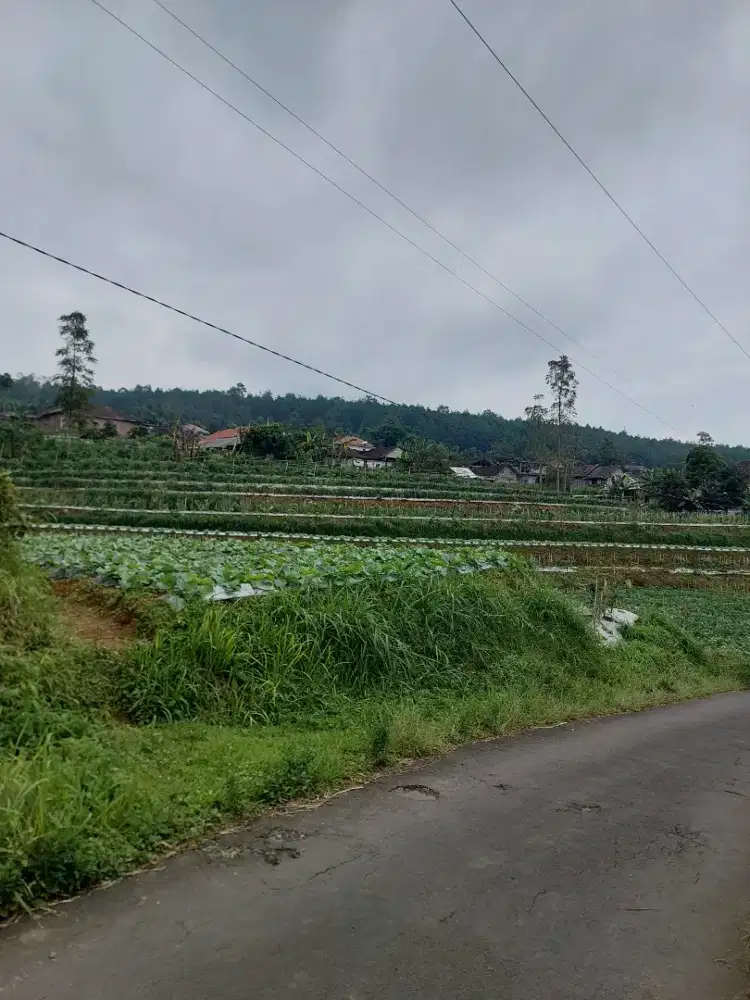 Tanah murah di getasan