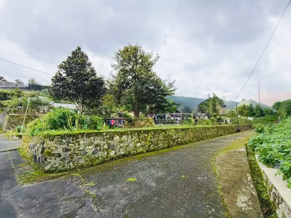 Tanah murah kemuning segoro gunung