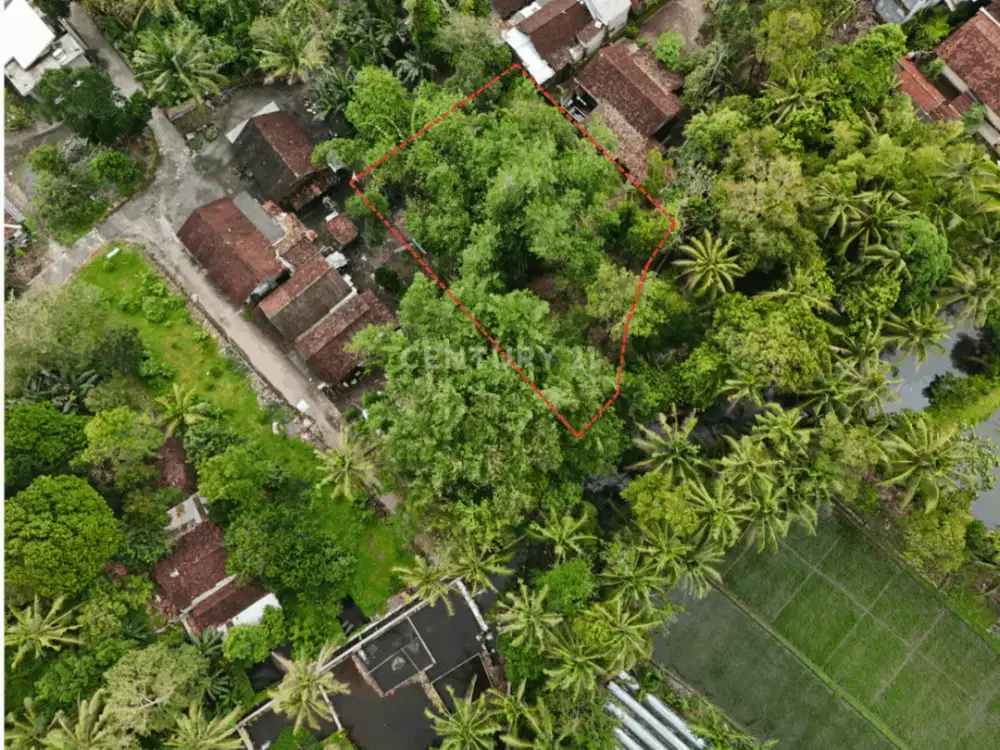 Tanah Pekarangan 799m2 Dekat Dengan Obelix Village