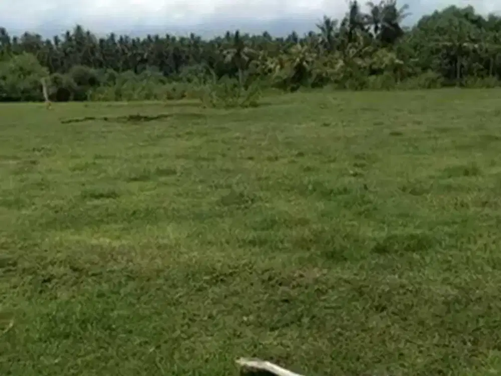 Dijual Tanah Beach Front di Yeh Sumbul, Mendoyo – Jembrana, Bali