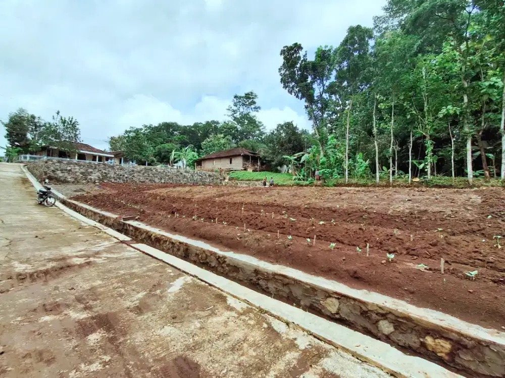 Tanah termurah di mojogedang karanganyar
