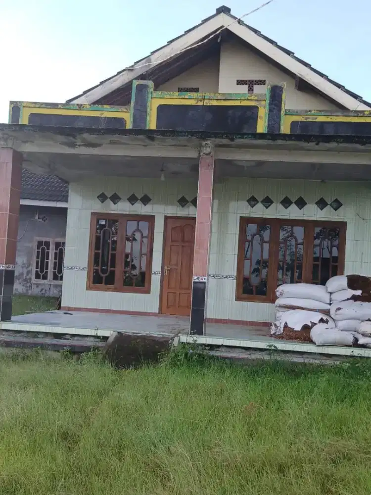 Rumah dan tanah view bagus