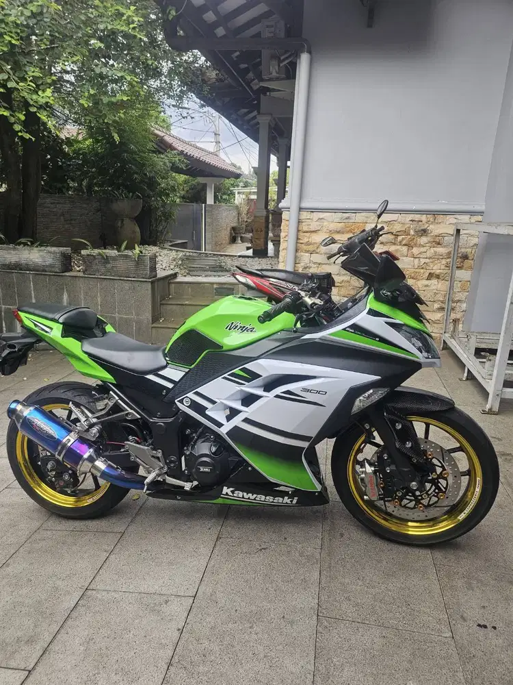 Ninja 300 Limited Edition