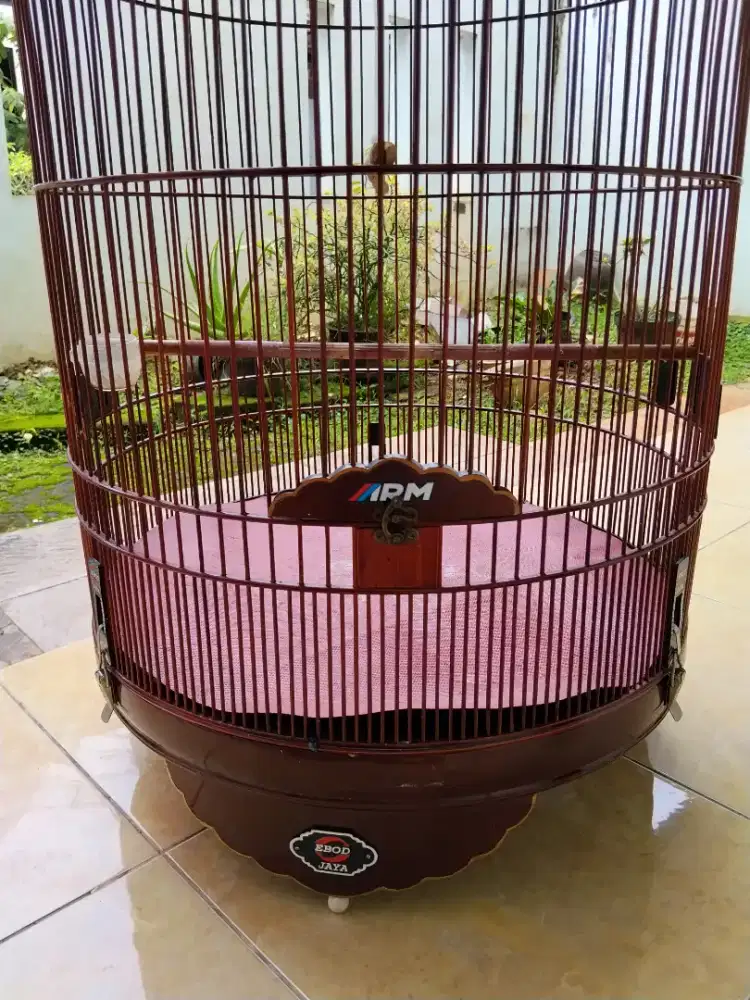 Kandang ebod no 2 klem koper