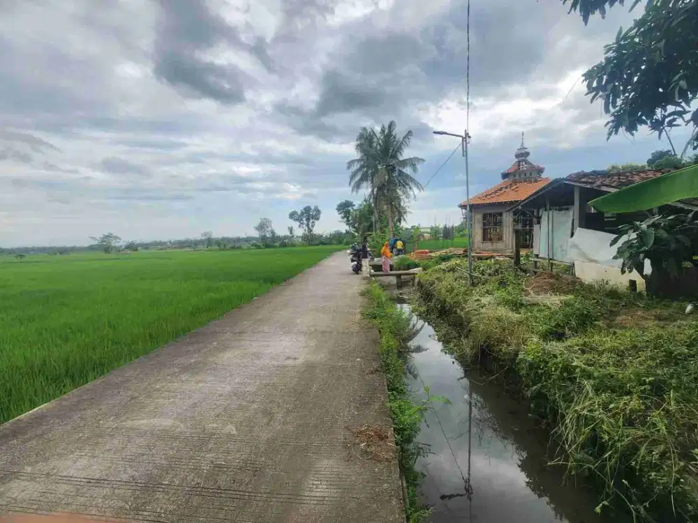 Tanah View Sawah dekat Bandara YIA