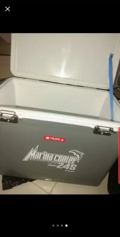 Lion star Marina cooler box 22 liter