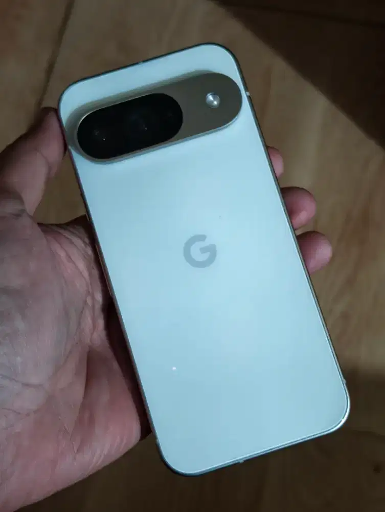 Google pixel 9 beacukaii