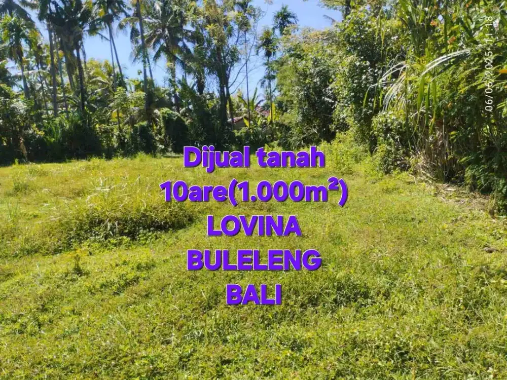 jual tanah 10 are dekat pantai lovina,area villa
