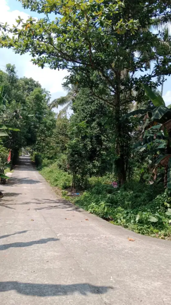 Termurah di Areanya! Tanah Pekarangan di timur resto morolejar sleman