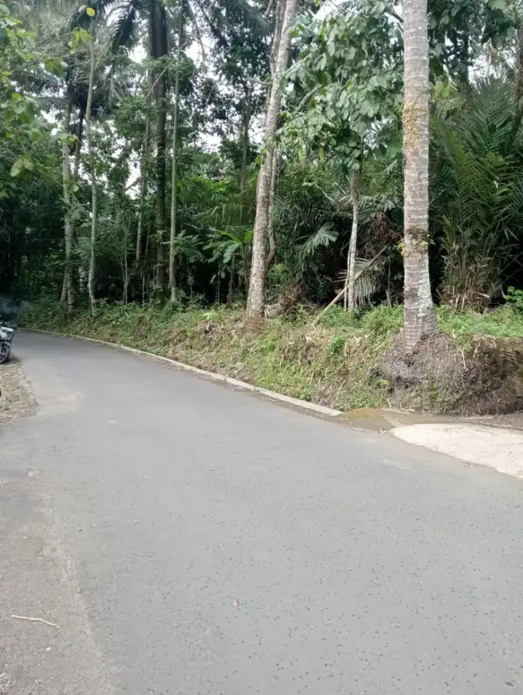 Murah Bannget! Tanah Pekarangan tepi aspal area cangkringan sleman