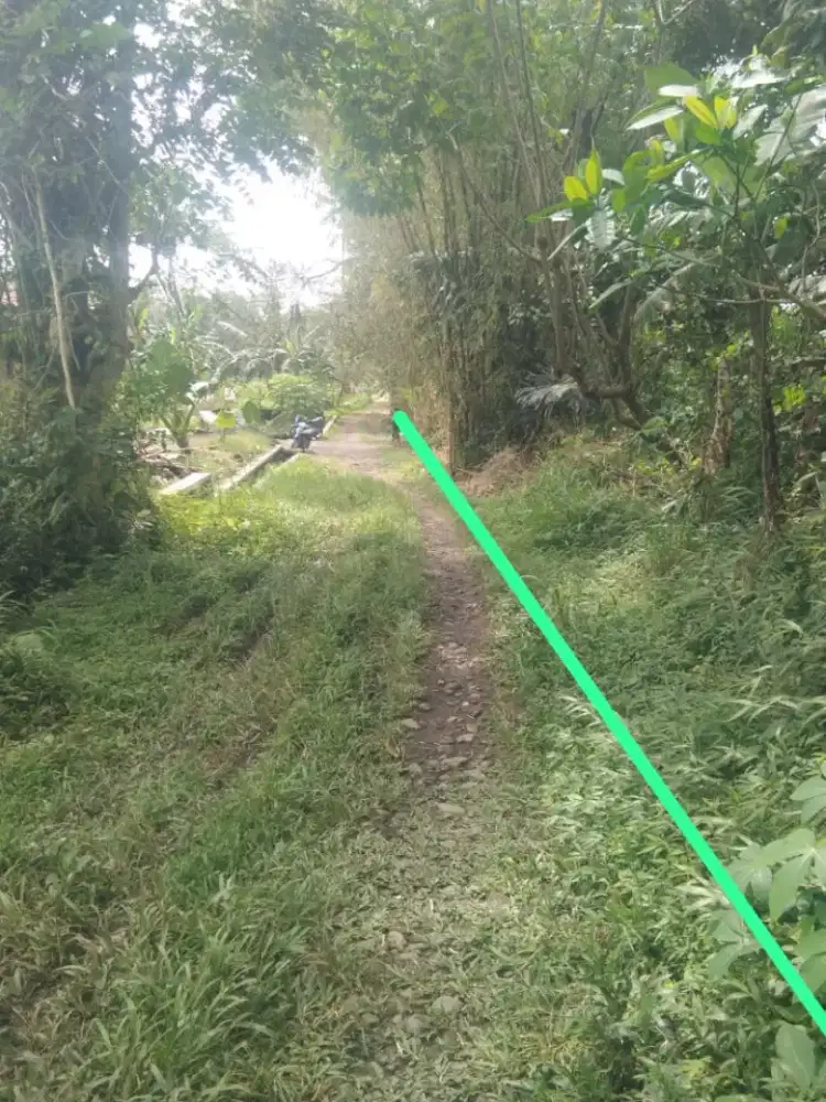 Murah! Tanah Pekarangan dijual area candibinangun pakem Sleman